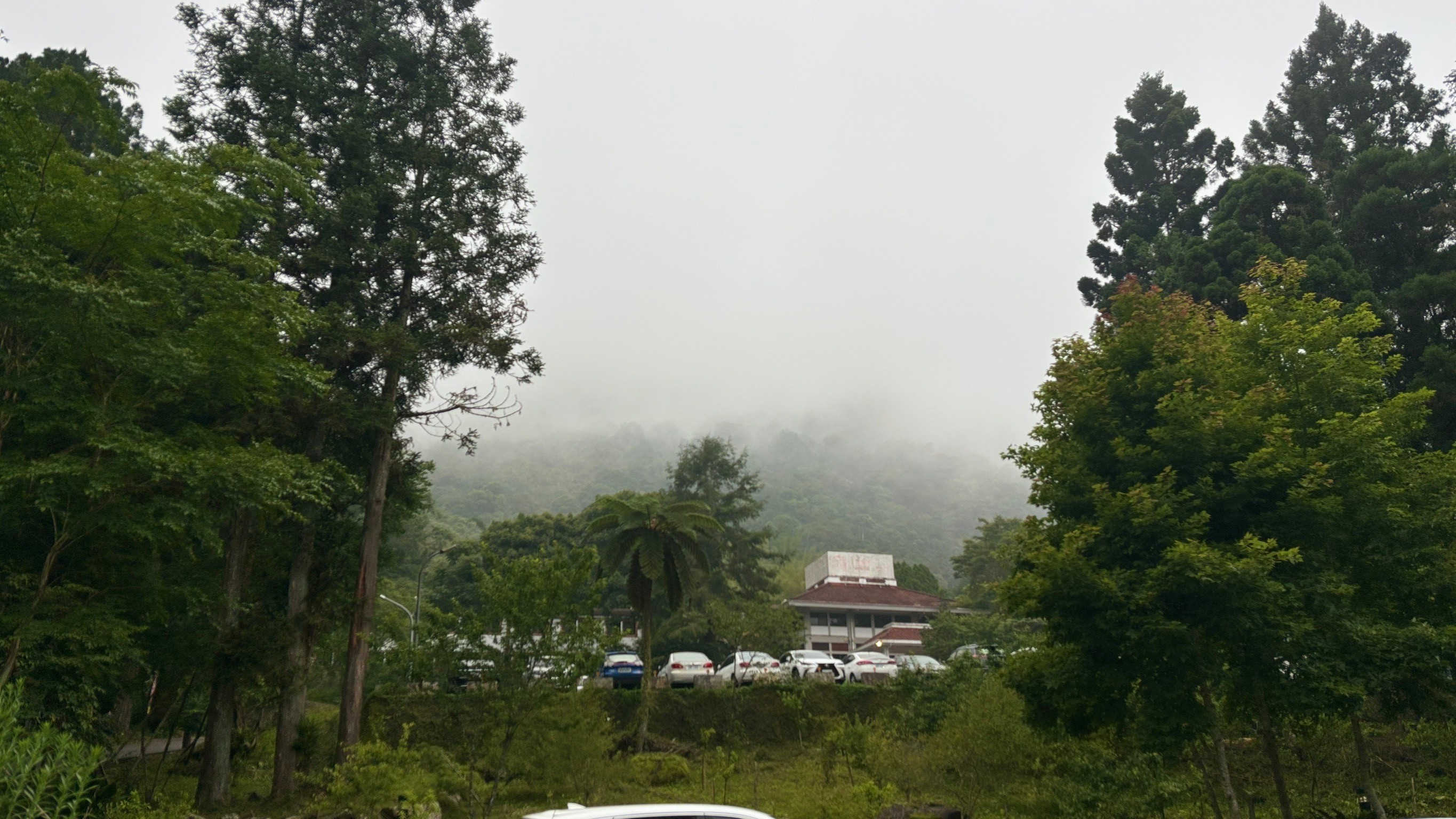 溪頭二日遊_240626_166